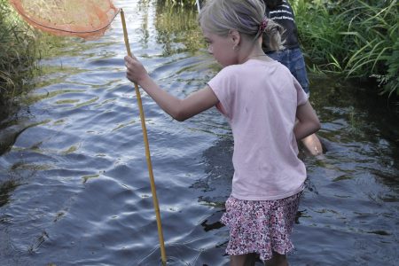 Waterdiertjes zoeken Presikhaaf