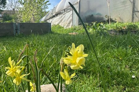 Proef, Ruik en Beleef- Activiteit op de Buurtakker
